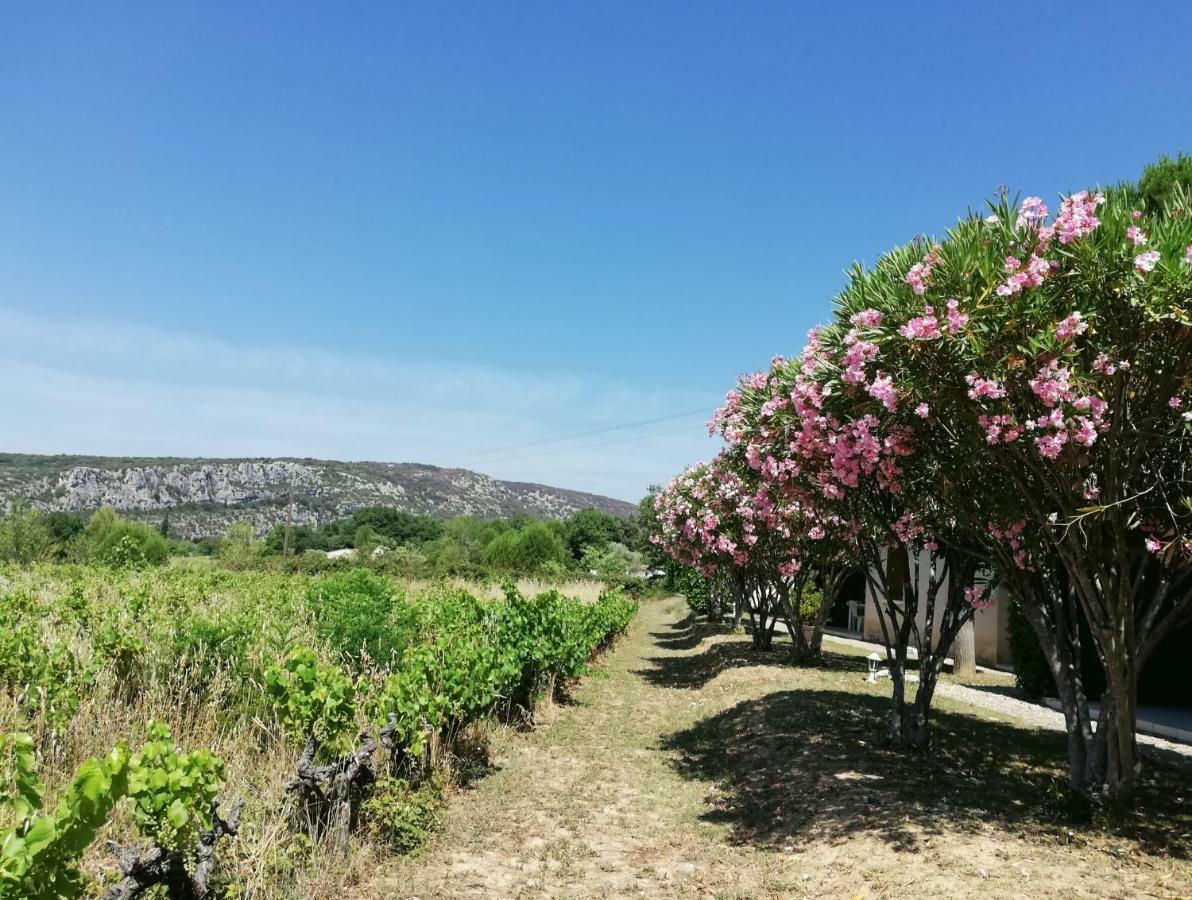 Espace Loisirs 호텔 Saint-Martin-dʼArdèche 외부 사진
